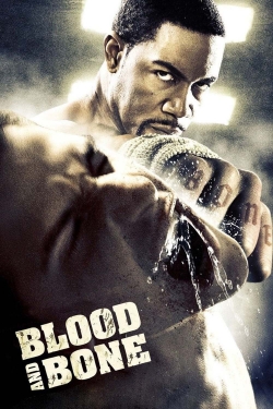 Blood and Bone 2 release date