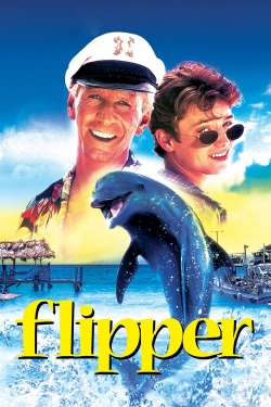 Flipper 2 release date