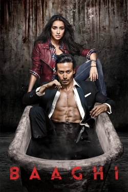 Baaghi 4 release date