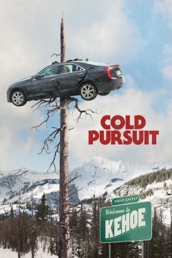 Cold Pursuit 2 release date