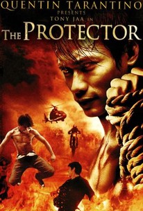 The Protector 3 release date